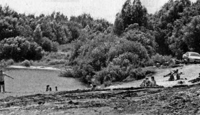 На Ушатовском затоне Сасовского района Рязанской области запрещено купаться